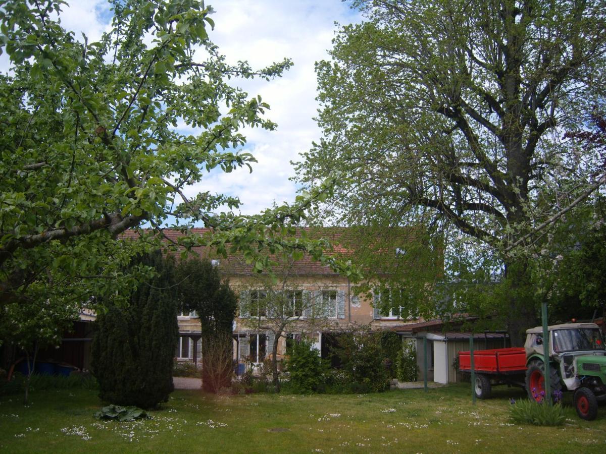 Gite Du Vieux Tilleul Fere-en-Tardenois Exterior photo